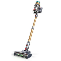 Aspirateur COTIAR V22 650W vert et doré