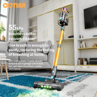Aspirateur COTIAR V22 650W