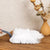 Plumeau + 10 Microfibres